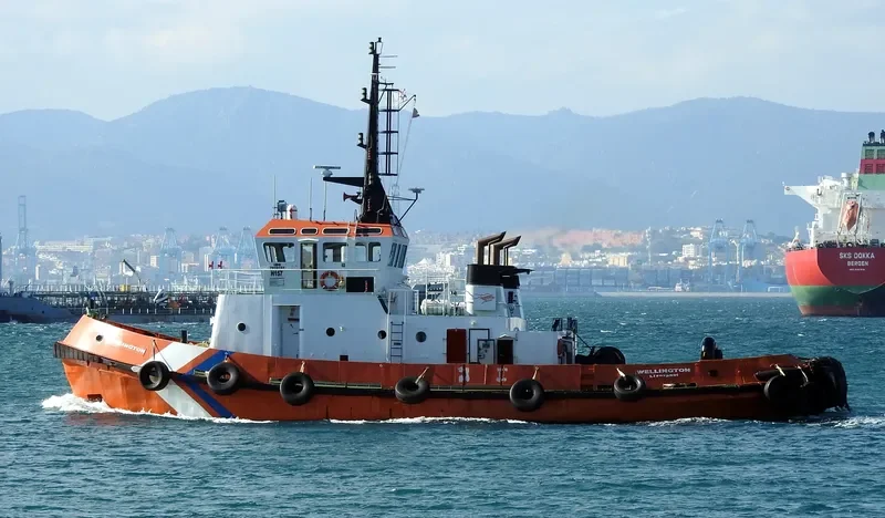 WELLINGTON Tug Boat IMO 7915151 photo 2