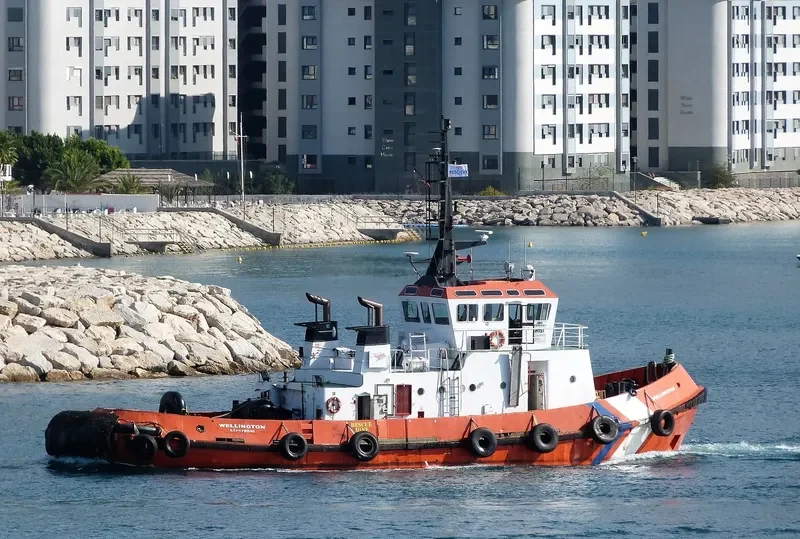 WELLINGTON Tug Boat IMO 7915151 photo 3
