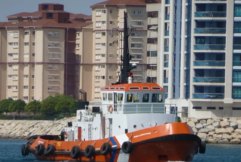 WELLINGTON Tug Boat IMO 7915151 photo 4