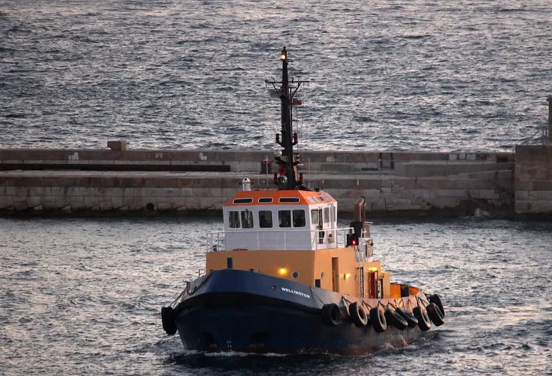 WELLINGTON Tug Boat IMO 7915151 photo 5