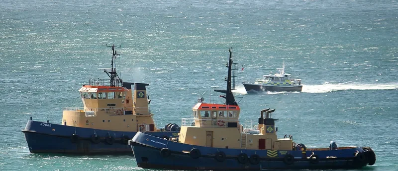 WELLINGTON Tug Boat IMO 7915151 photo 6