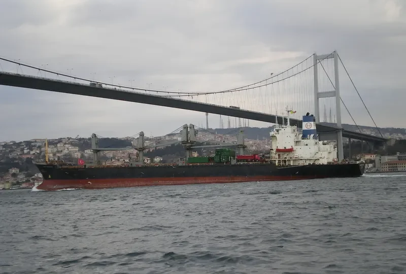 HONG PROSPERITY General Cargo IMO 7915254