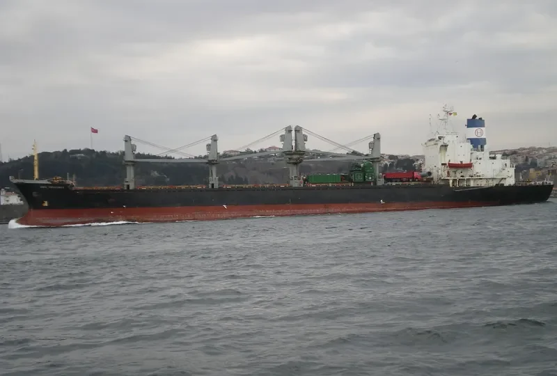 HONG PROSPERITY General Cargo IMO 7915254 photo 2