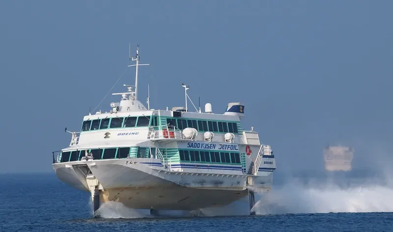 GINGA Passenger Ship IMO 7915840 photo 2