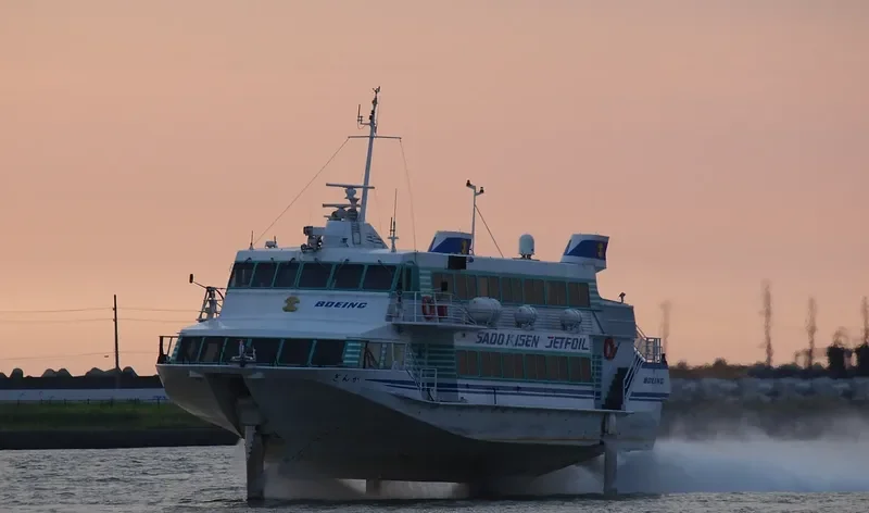 GINGA Passenger Ship IMO 7915840 photo 4