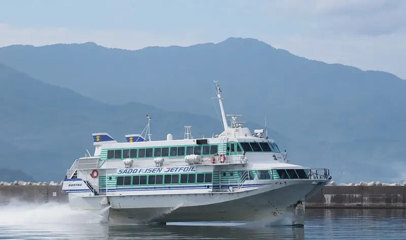 GINGA Passenger Ship IMO 7915840 photo 5