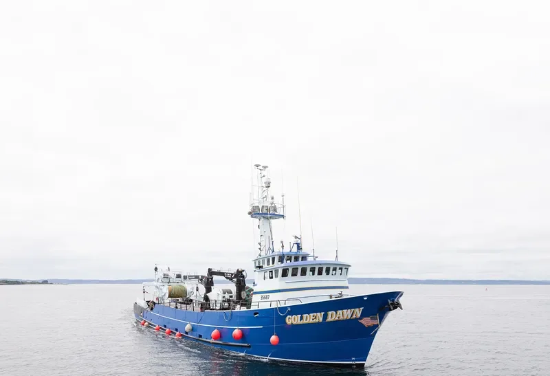 GOLDEN DAWN General Cargo IMO 7915890