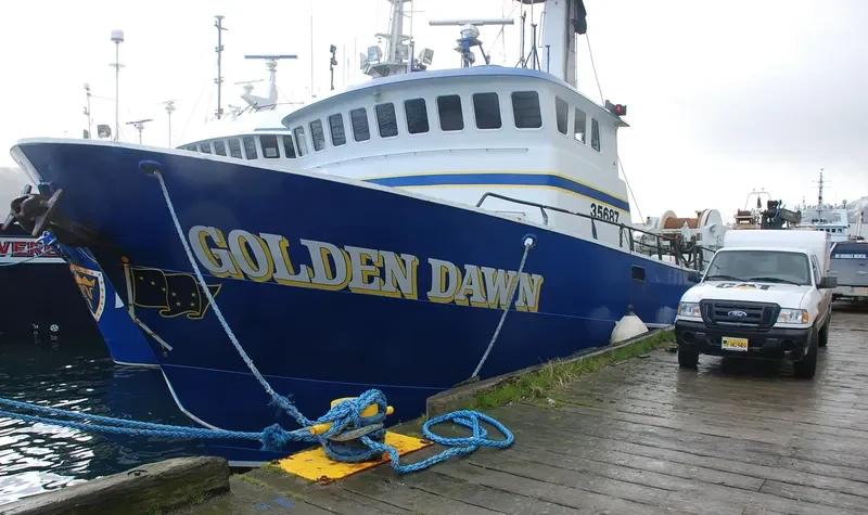 GOLDEN DAWN General Cargo IMO 7915890 photo 3