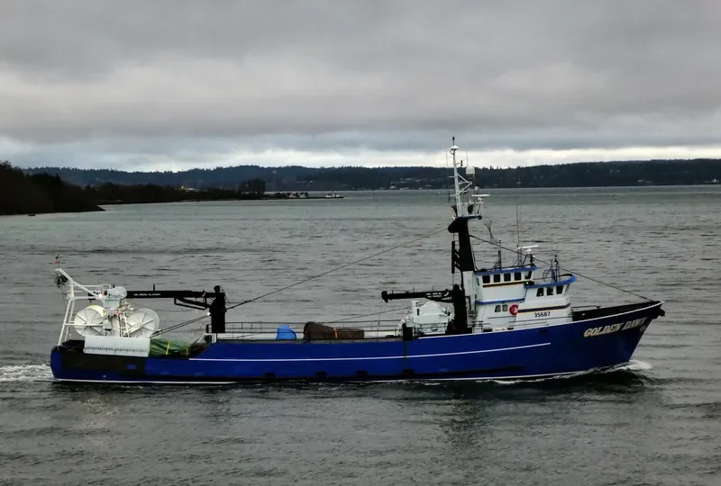GOLDEN DAWN General Cargo IMO 7915890 photo 4
