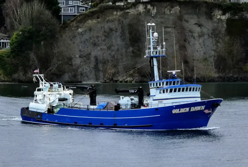 GOLDEN DAWN General Cargo IMO 7915890 photo 5