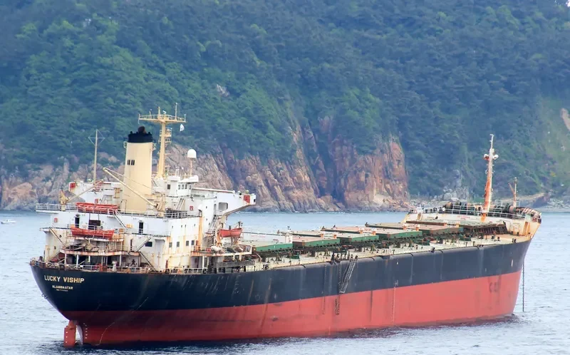 LUCKY VISHIP Bulk Carrier IMO 7916325 photo 3