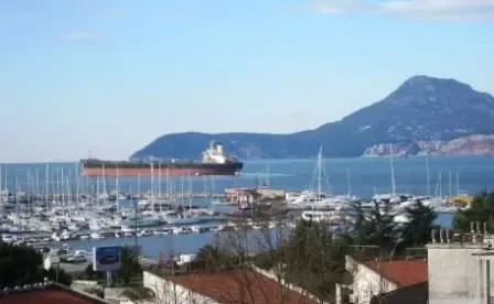 LUCKY VISHIP Bulk Carrier IMO 7916325 photo 7