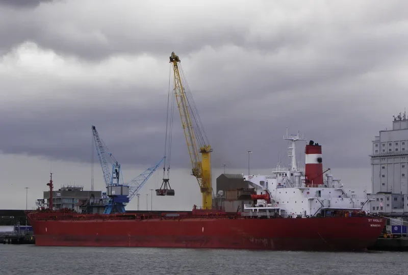 ST VASILIOS Bulk Carrier IMO 7916337 photo 3