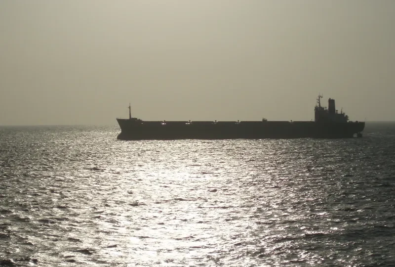 ST VASILIOS Bulk Carrier IMO 7916337 photo 7