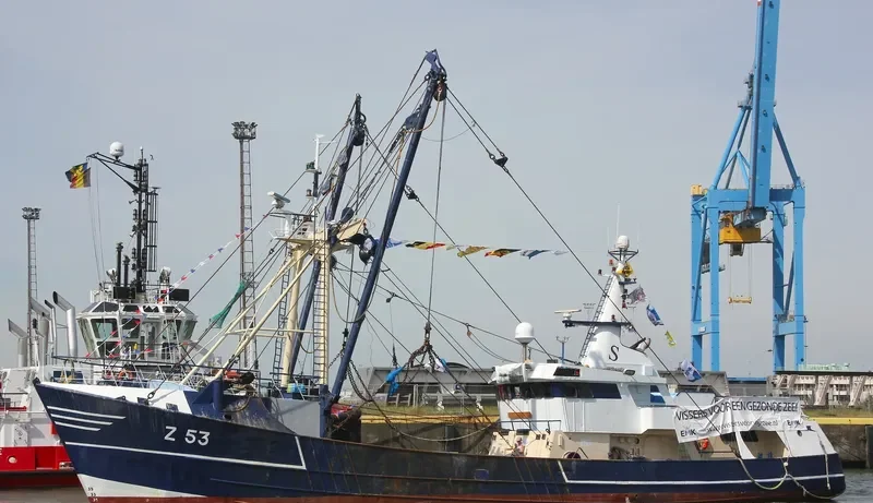VAN EYCK Fishing Vessel IMO 7916959