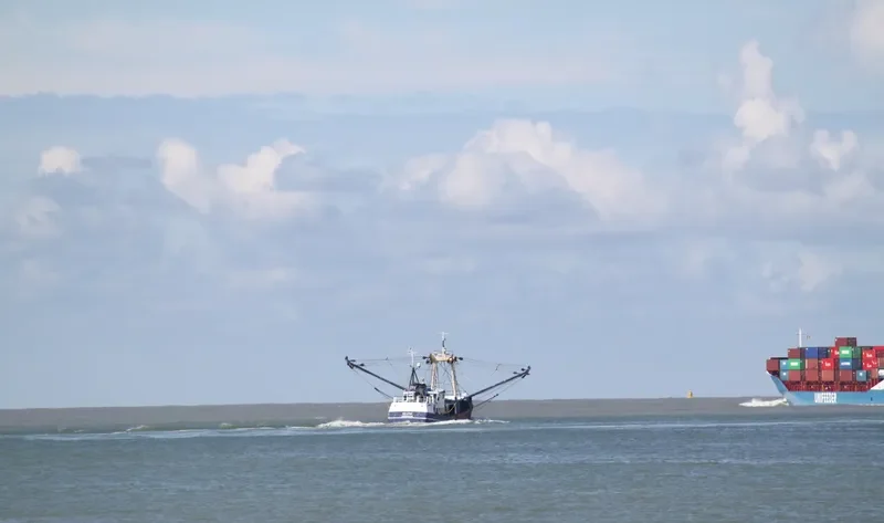 VAN EYCK Fishing Vessel IMO 7916959 photo 6