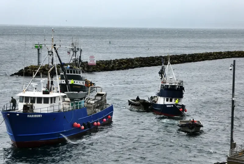 HARMONY I Fishing Vessel IMO 7917666 photo 4