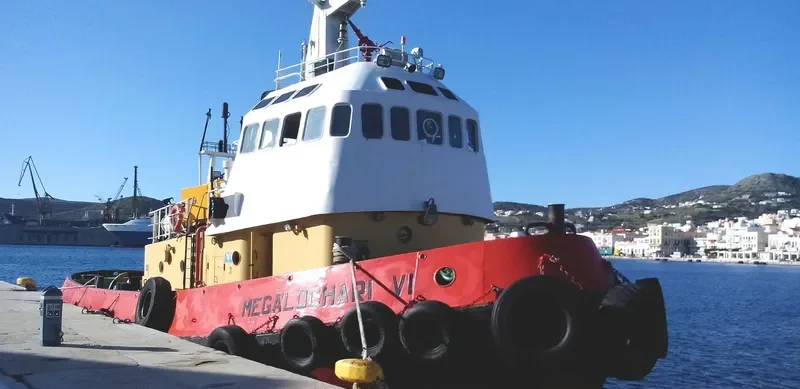 ARTEMIS VI General Cargo IMO 7918000 photo 3