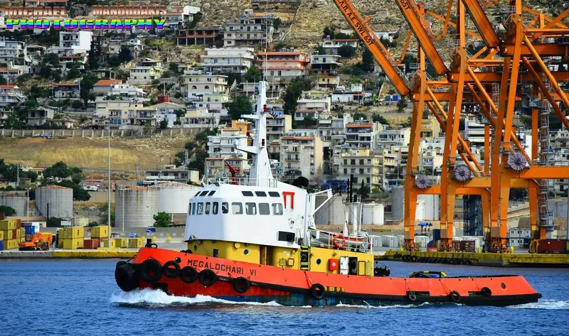 ARTEMIS VI General Cargo IMO 7918000 photo 10
