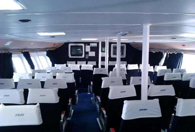 SUPER JUMBO Passenger Ship IMO 7918165 photo 4