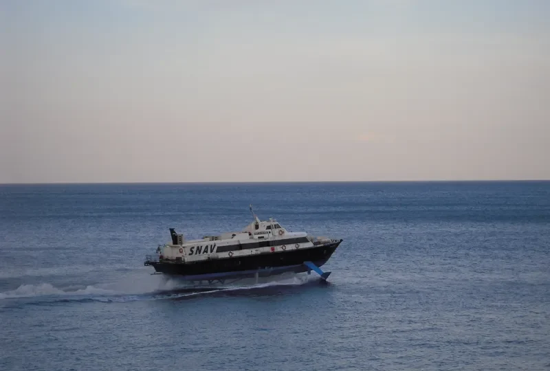 SUPER JUMBO Passenger Ship IMO 7918165 photo 9
