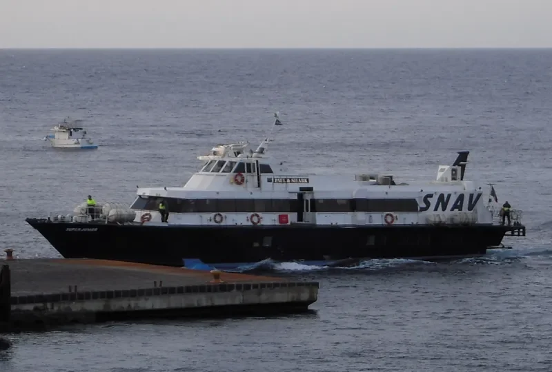SUPER JUMBO Passenger Ship IMO 7918165 photo 10