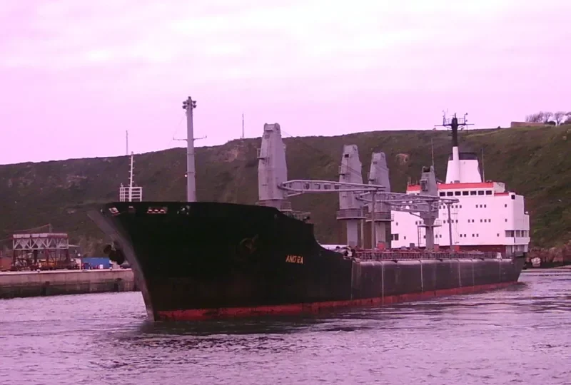 ANDRA Bulk Carrier IMO 7919846 photo 4