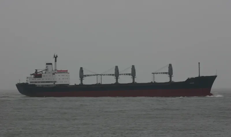 ANDRA Bulk Carrier IMO 7919846 photo 7