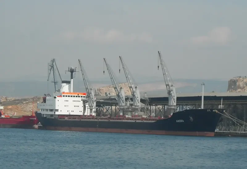 ANDRA Bulk Carrier IMO 7919846 photo 9