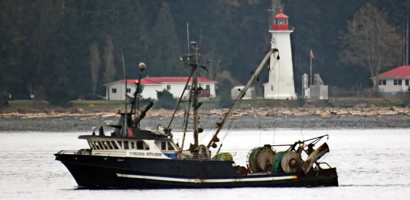 VIKING STORM Fishing Vessel IMO 7919858