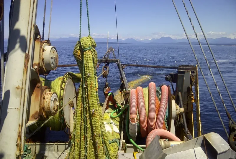 VIKING STORM Fishing Vessel IMO 7919858 photo 3