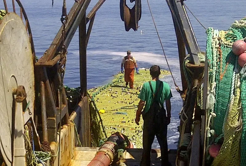VIKING STORM Fishing Vessel IMO 7919858 photo 4