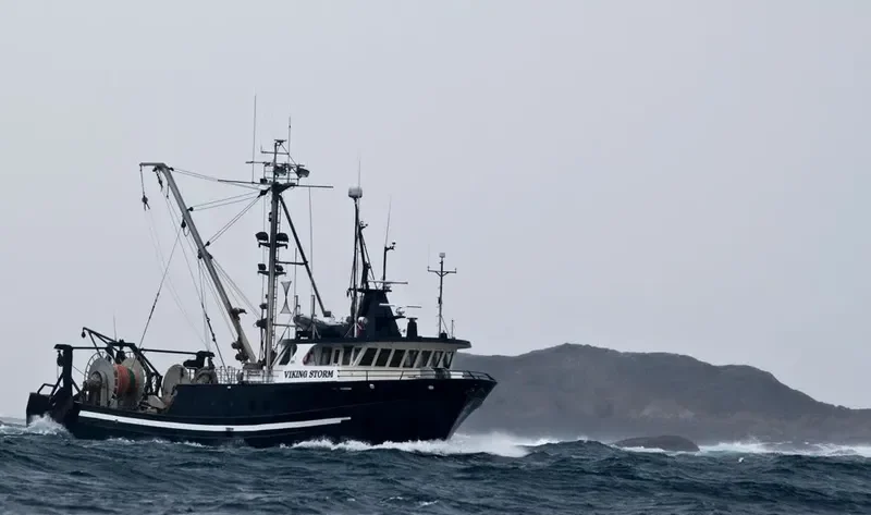 VIKING STORM Fishing Vessel IMO 7919858 photo 5