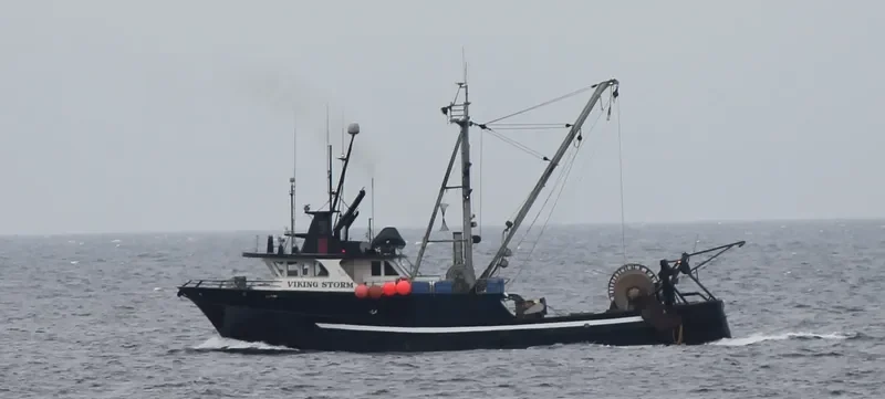 VIKING STORM Fishing Vessel IMO 7919858 photo 7