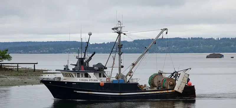 VIKING STORM Fishing Vessel IMO 7919858 photo 8