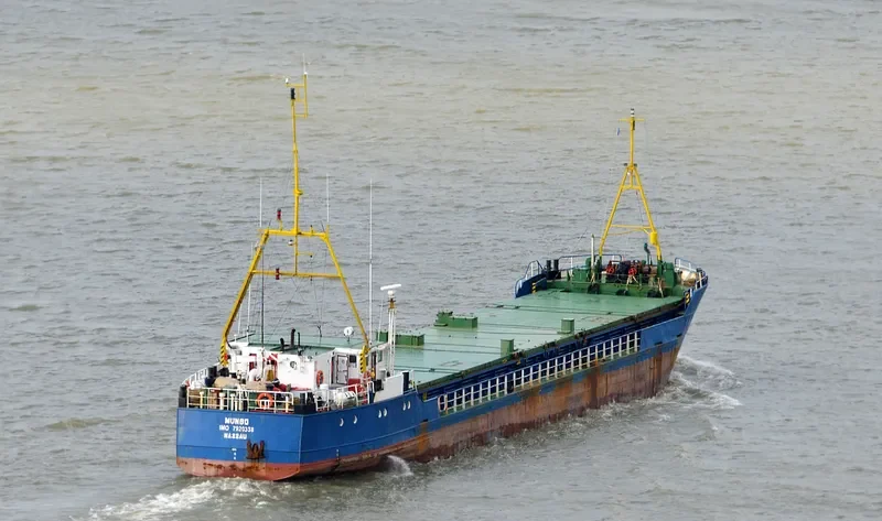 MUNGO General Cargo IMO 7920338 photo 4