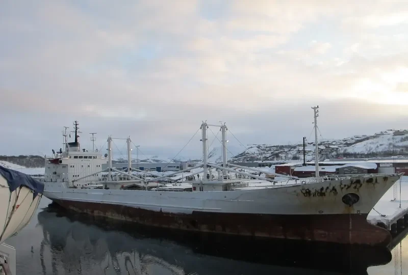 ORION General Cargo IMO 7920546 photo 7