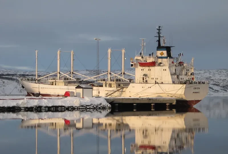 ORION General Cargo IMO 7920546 photo 10