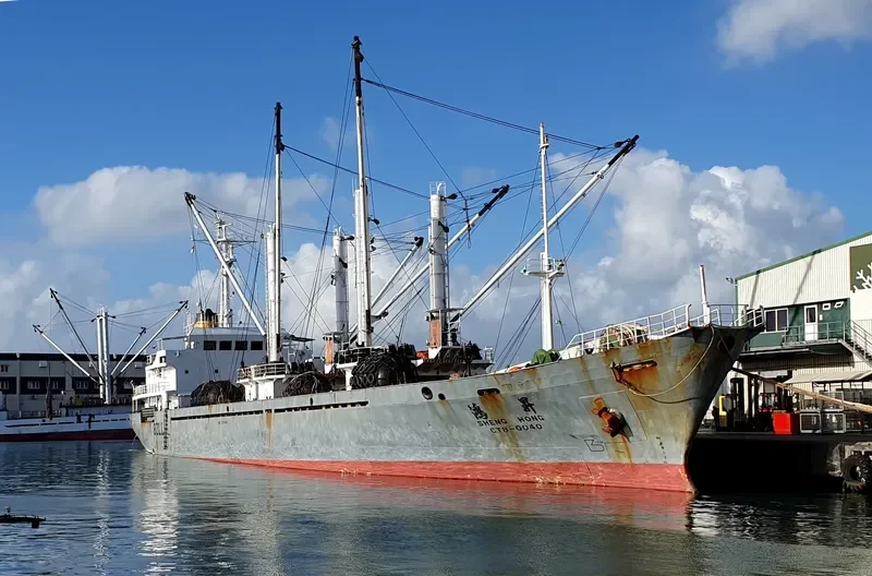 SHENG HONG General Cargo IMO 7920869 photo 5