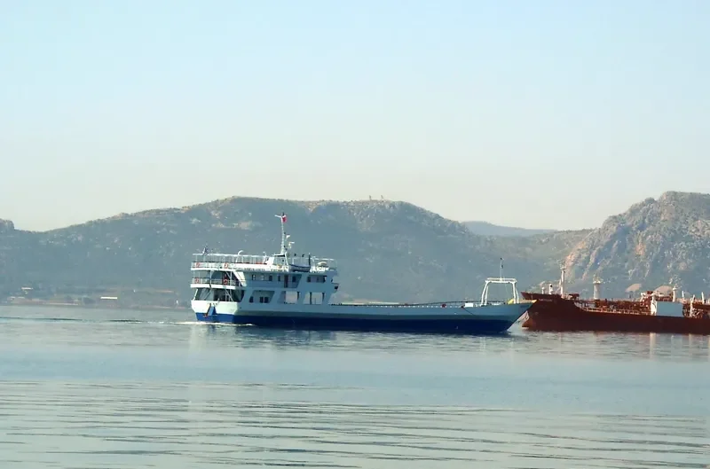 MELINA III Ro-Ro IMO 7921069 photo 8