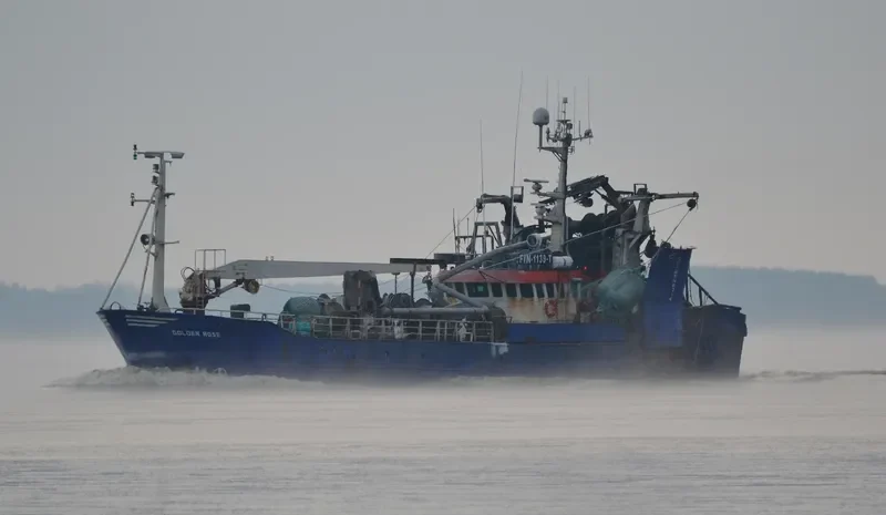 GOLDEN ROSE General Cargo IMO 7922415