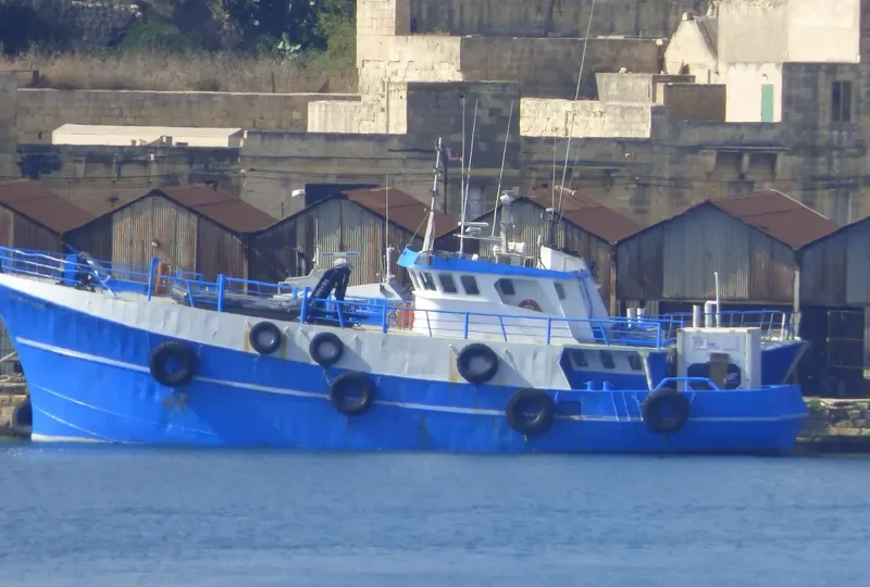 SILVER KING General Cargo IMO 7922491