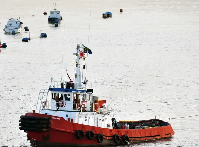 COMARCO OSPREY Tug Boat IMO 7922776 photo 8
