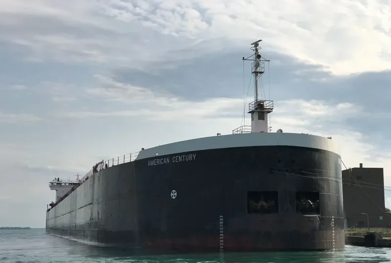 AMERICAN CENTURY Bulk Carrier IMO 7923196 photo 3