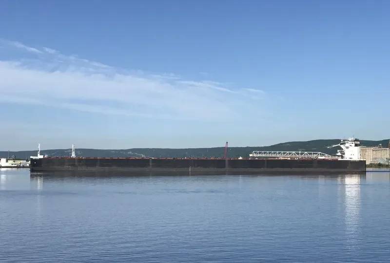 AMERICAN CENTURY Bulk Carrier IMO 7923196 photo 5