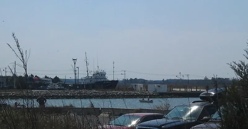 DELRIVER General Cargo IMO 7923304 photo 4