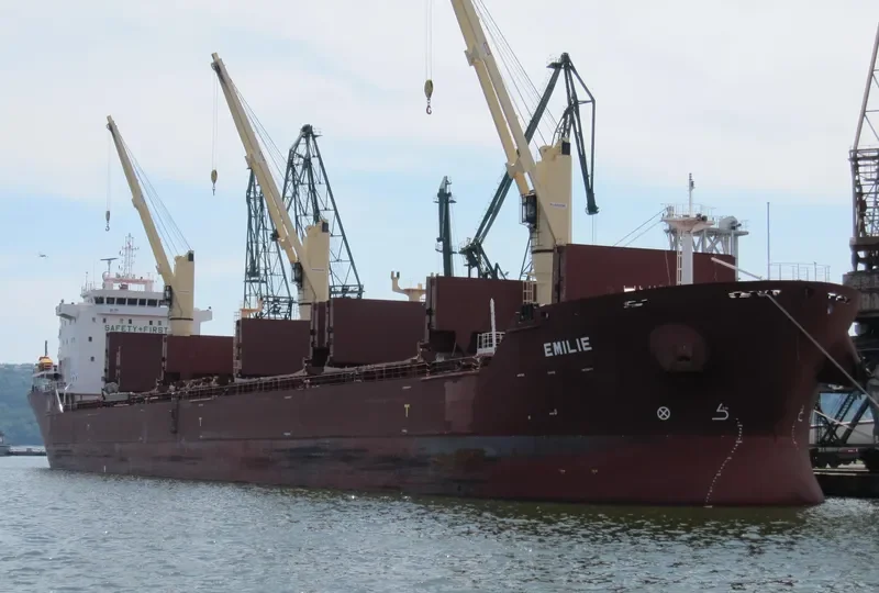 WINNING BINTAN Bulk Carrier IMO 7923940