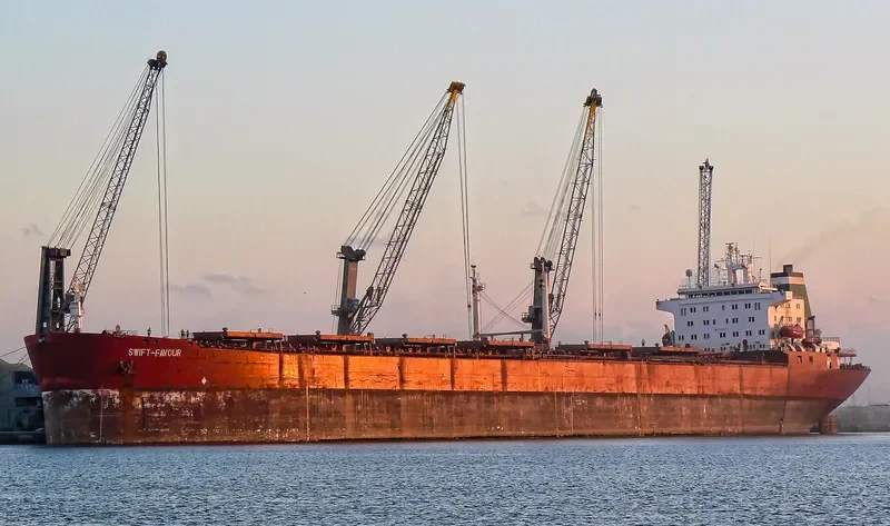 SWIFT FAVOUR Bulk Carrier IMO 7924358
