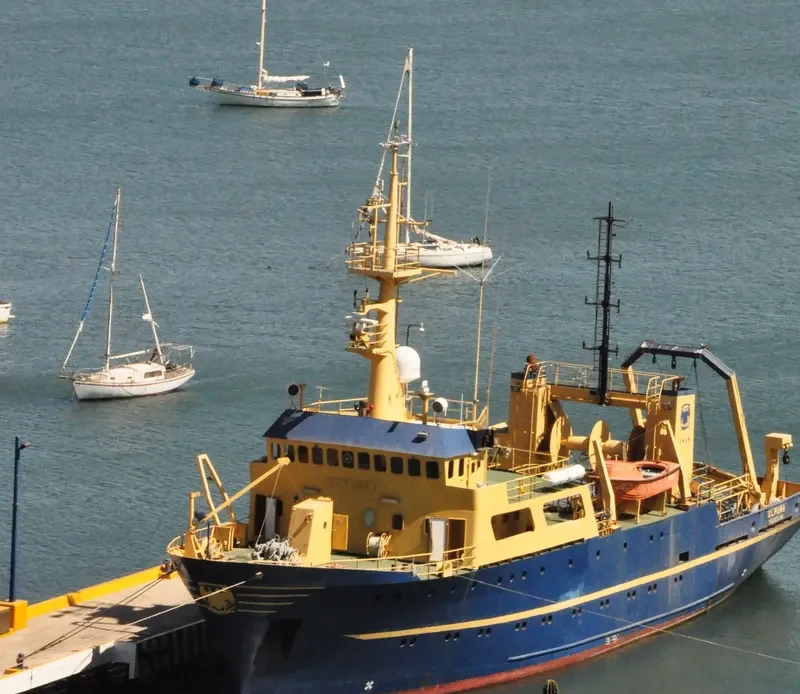 EL PUMA General Cargo IMO 7925132