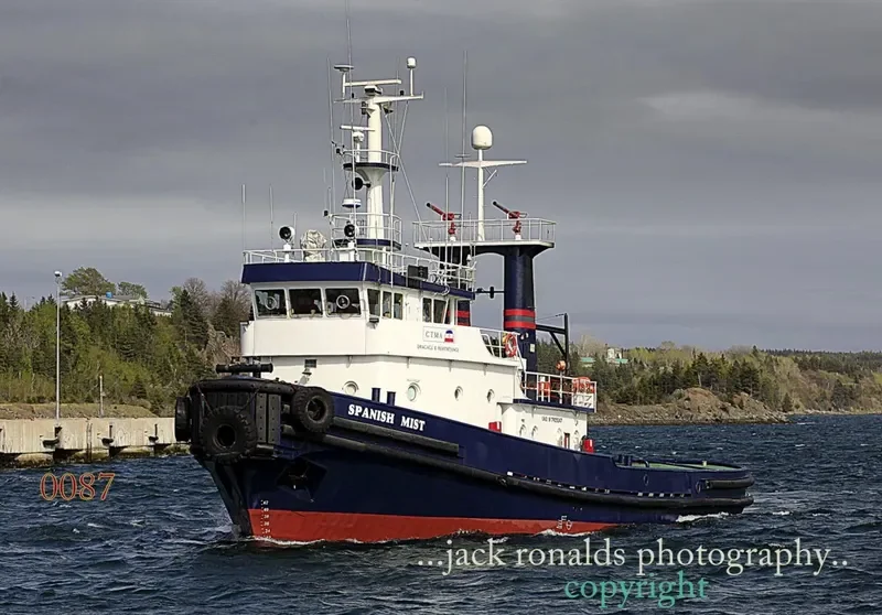 SPANISH MIST General Cargo IMO 7925247 photo 2